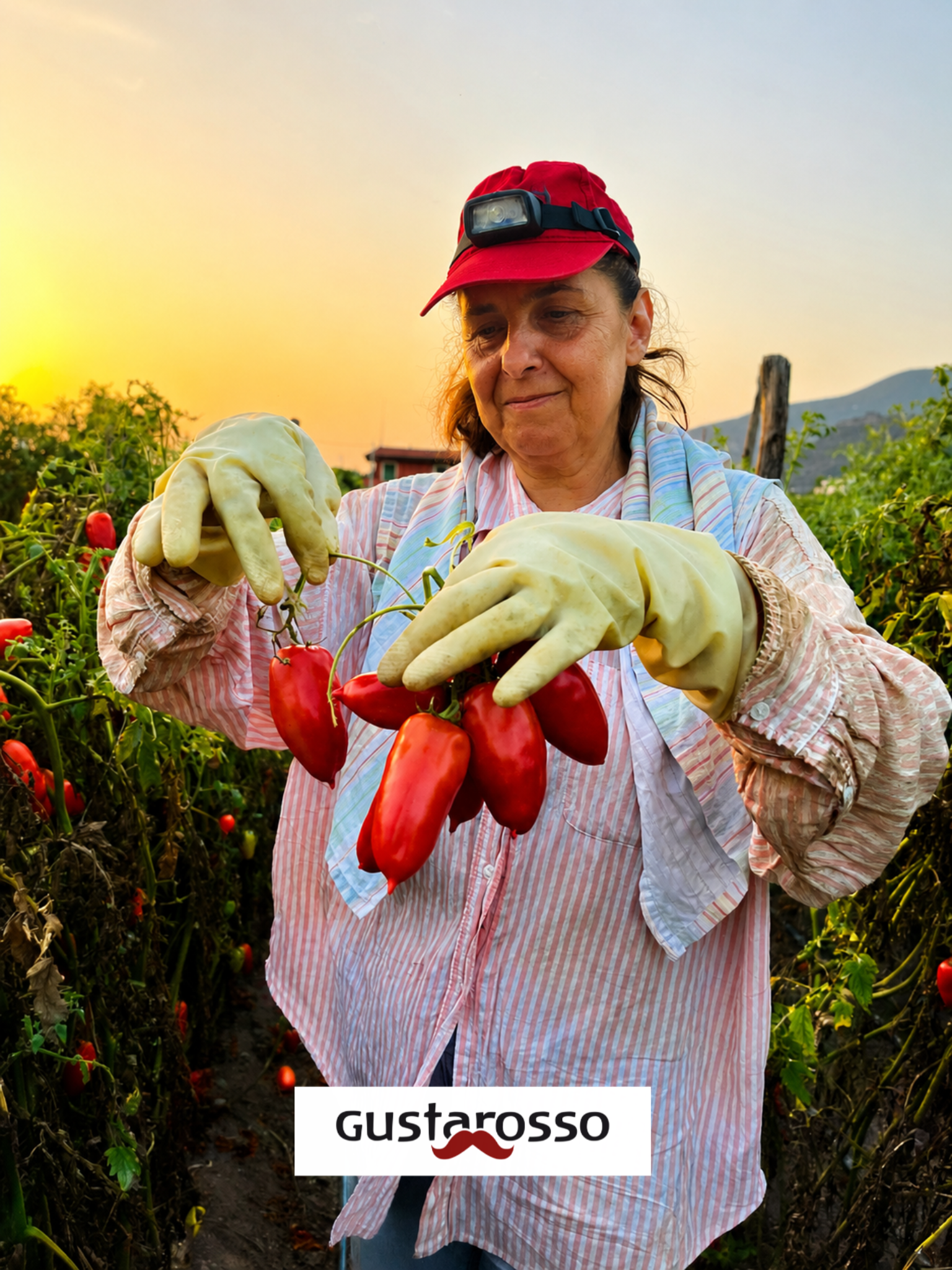 POMODORO SAN MARZANO DOP confezione da 12 latte da 400 gr