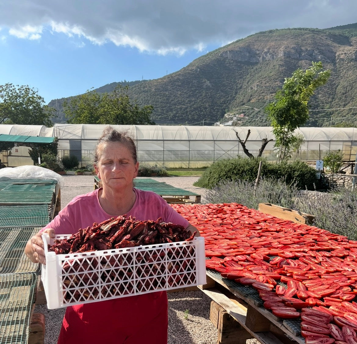 PESTATO di Pomodoro Lungo